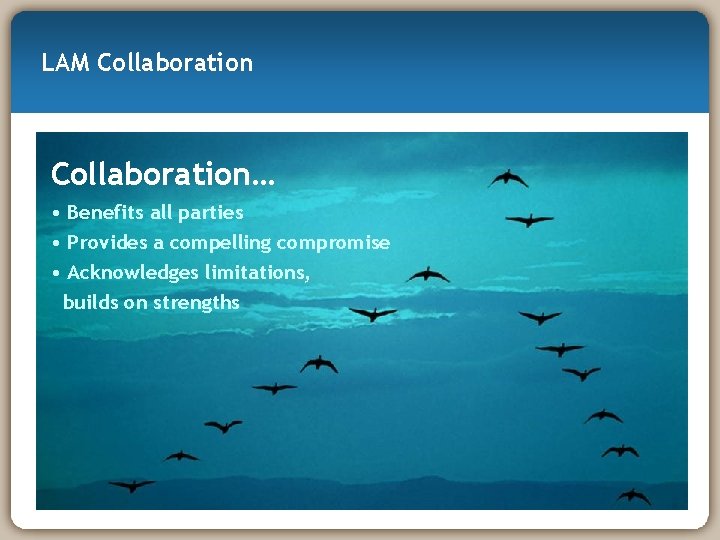 LAM Collaboration… • Benefits all parties • Provides a compelling compromise • Acknowledges limitations,