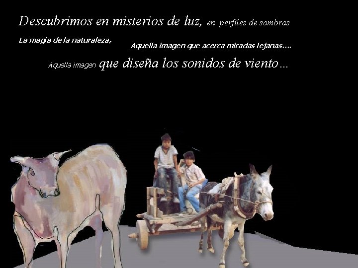 Descubrimos en misterios de luz, en La magia de la naturaleza, Aquella imagen perfiles
