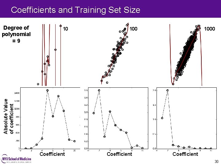 Coefficients and Training Set Size 10 1000 Absolute Value of coefficient Degree of polynomial Coefficients and Training Set Size 10 1000 Absolute Value of coefficient Degree of polynomial