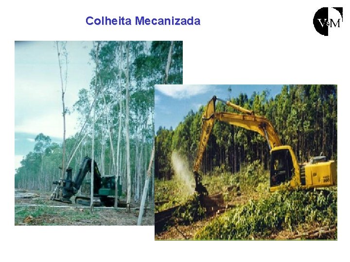 Colheita Mecanizada 