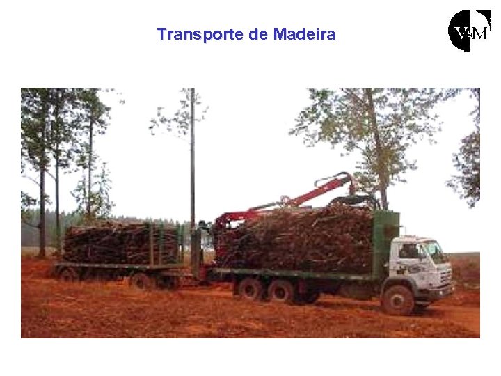 Transporte de Madeira 