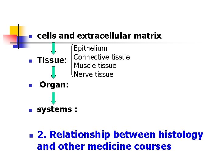 n cells and extracellular matrix n Epithelium Tissue: Connective tissue Muscle tissue Nerve tissue