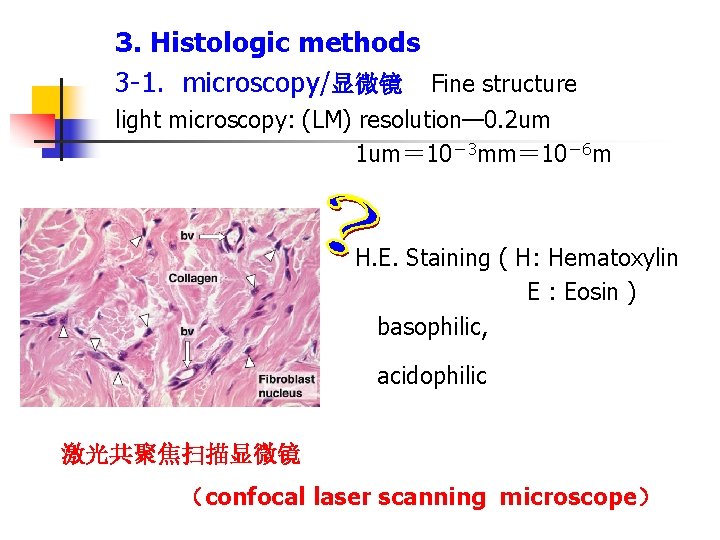 3. Histologic methods 3 -1. microscopy/显微镜 Fine structure light microscopy: (LM) resolution— 0. 2