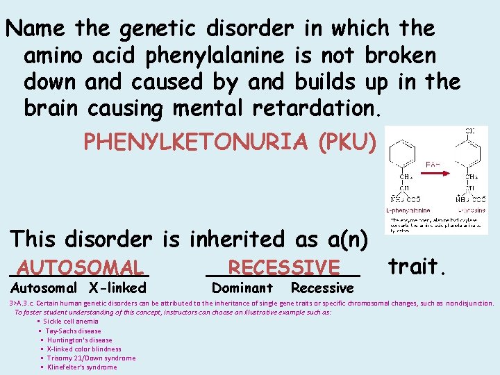 Name the genetic disorder in which the amino acid phenylalanine is not broken down