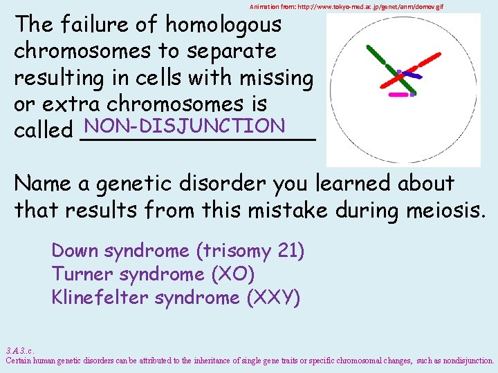 Animation from: http: //www. tokyo-med. ac. jp/genet/anm/domov. gif The failure of homologous chromosomes to