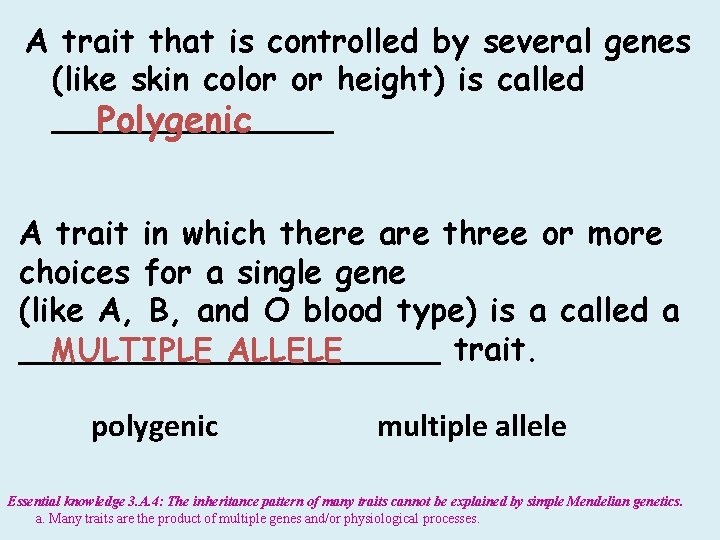 A trait that is controlled by several genes (like skin color or height) is