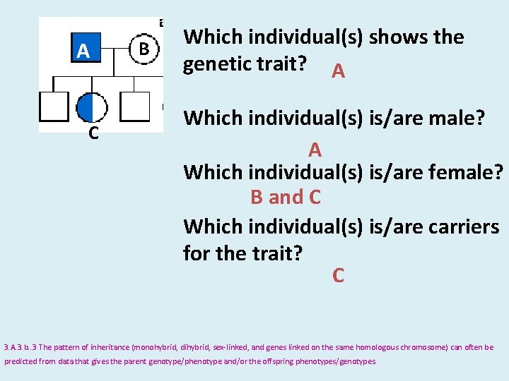 A C B Which individual(s) shows the genetic trait? A Which individual(s) is/are male?