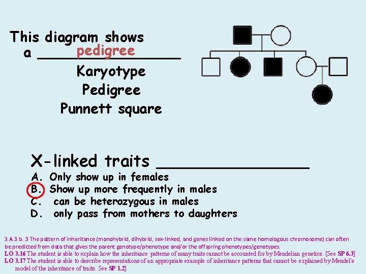 This diagram shows pedigree a ________ Karyotype Pedigree Punnett square X-linked traits ________ A.