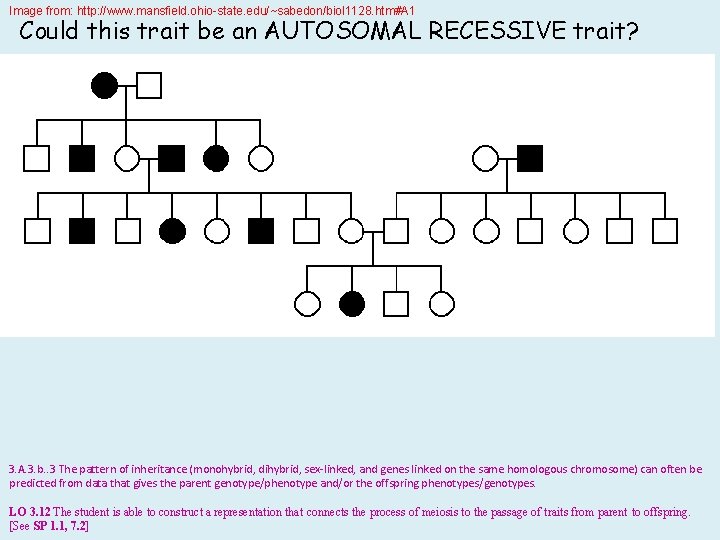 Image from: http: //www. mansfield. ohio-state. edu/~sabedon/biol 1128. htm#A 1 Could this trait be