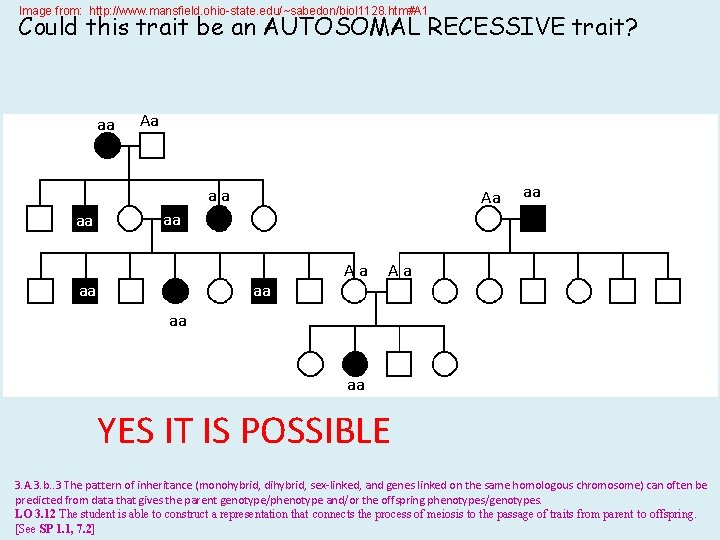 Image from: http: //www. mansfield. ohio-state. edu/~sabedon/biol 1128. htm#A 1 Could this trait be