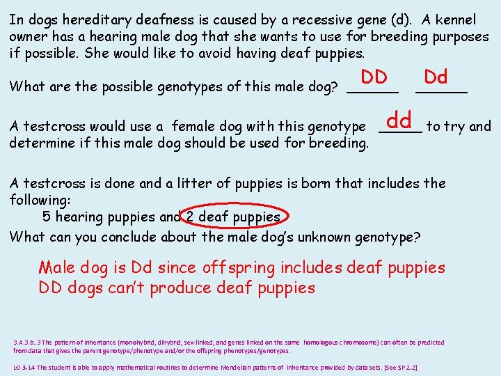 In dogs hereditary deafness is caused by a recessive gene (d). A kennel owner