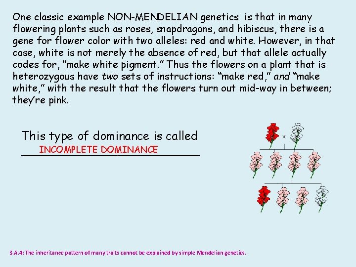 One classic example NON-MENDELIAN genetics is that in many flowering plants such as roses,