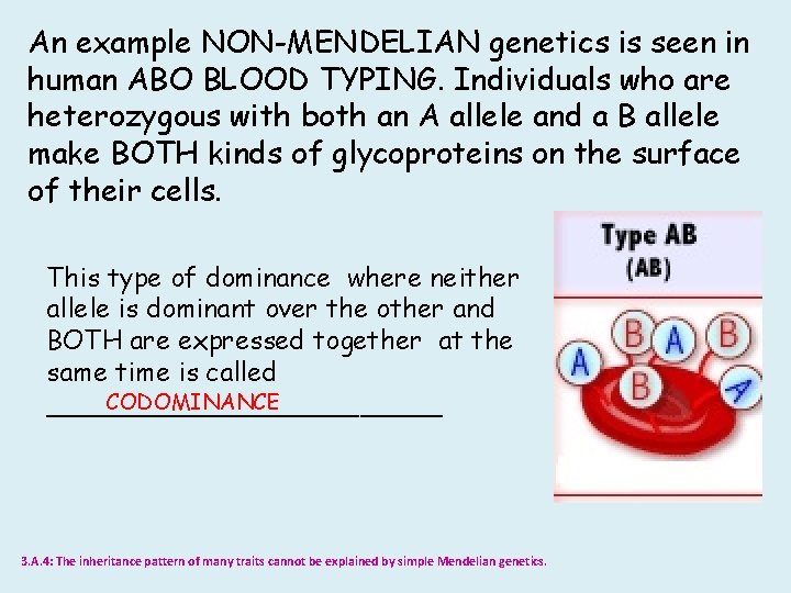 An example NON-MENDELIAN genetics is seen in human ABO BLOOD TYPING. Individuals who are
