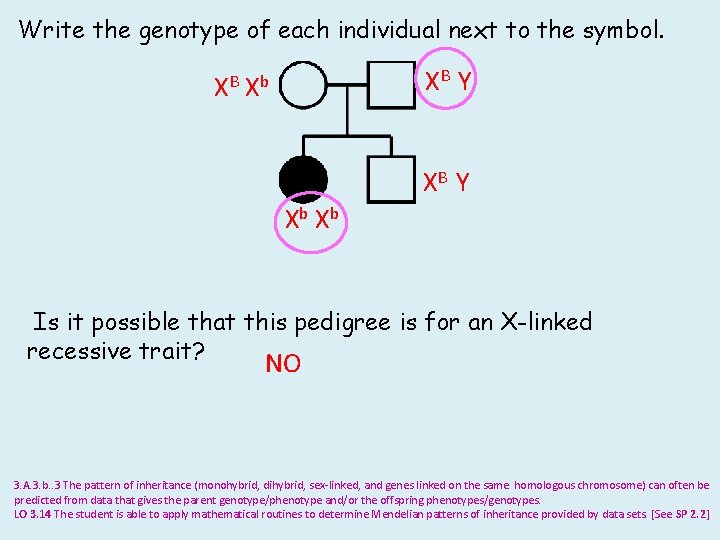 Write the genotype of each individual next to the symbol. XB Y XB X