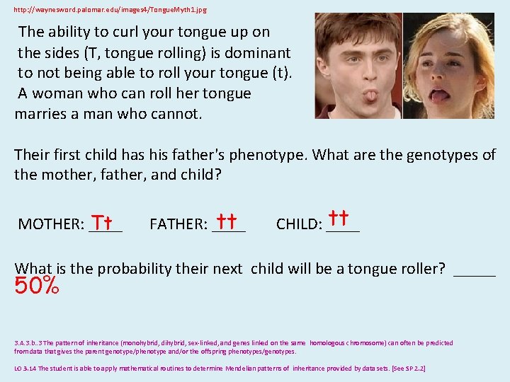 http: //waynesword. palomar. edu/images 4/Tongue. Myth 1. jpg The ability to curl your tongue