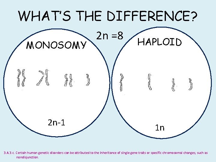 WHAT’S THE DIFFERENCE? MONOSOMY 2 n-1 2 n =8 HAPLOID 1 n 3. A.