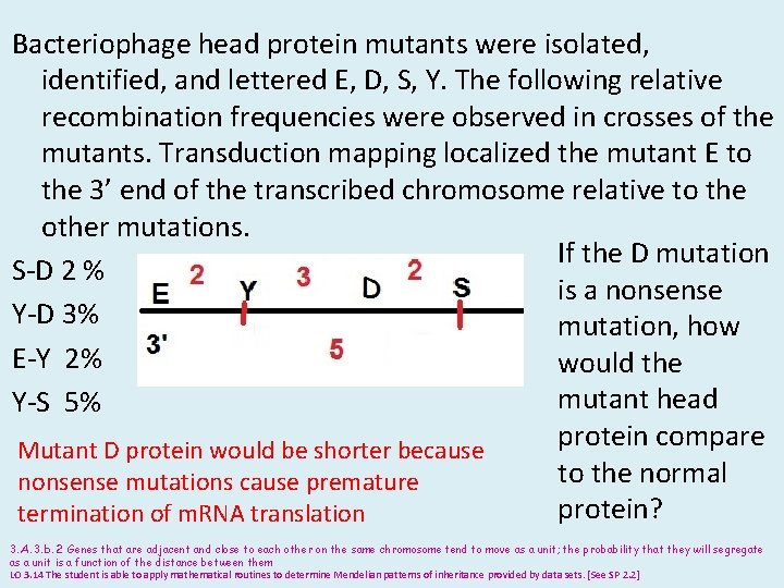 Bacteriophage head protein mutants were isolated, identified, and lettered E, D, S, Y. The