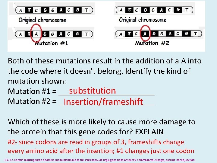 Both of these mutations result in the addition of a A into the code