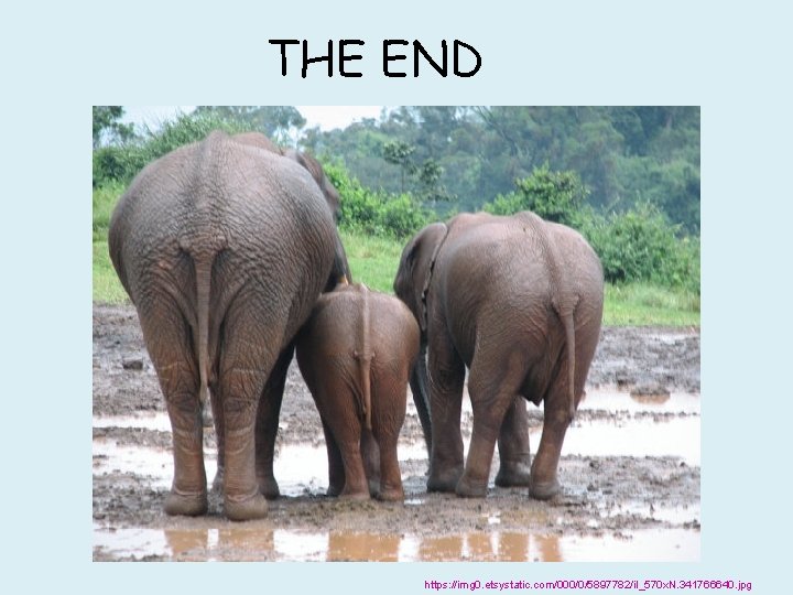 THE END https: //img 0. etsystatic. com/000/0/5897782/il_570 x. N. 341766640. jpg 