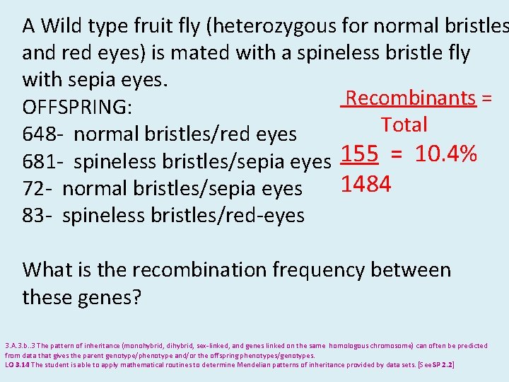 A Wild type fruit fly (heterozygous for normal bristles and red eyes) is mated