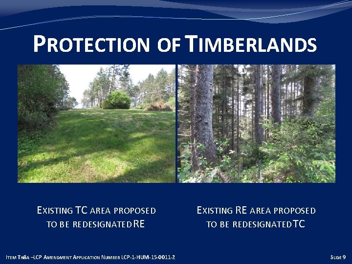 PROTECTION OF TIMBERLANDS EXISTING TC AREA PROPOSED TO BE REDESIGNATED RE ITEM TH 8