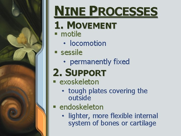 NINE PROCESSES 1. MOVEMENT § motile • locomotion § sessile • permanently fixed 2.
