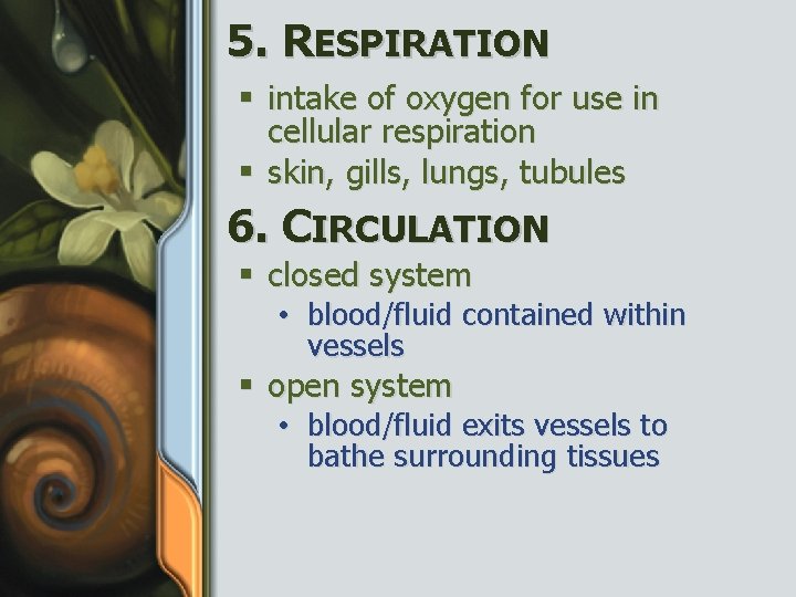 5. RESPIRATION § intake of oxygen for use in cellular respiration § skin, gills,
