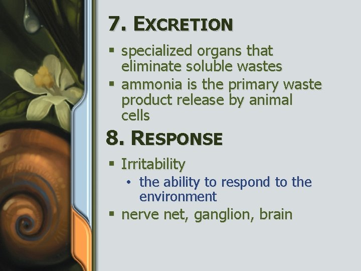 7. EXCRETION § specialized organs that eliminate soluble wastes § ammonia is the primary