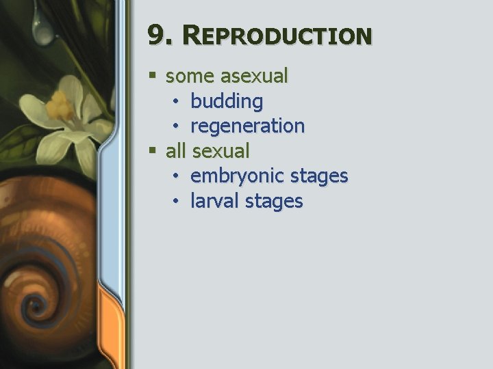 9. REPRODUCTION § some asexual • budding • regeneration § all sexual • embryonic