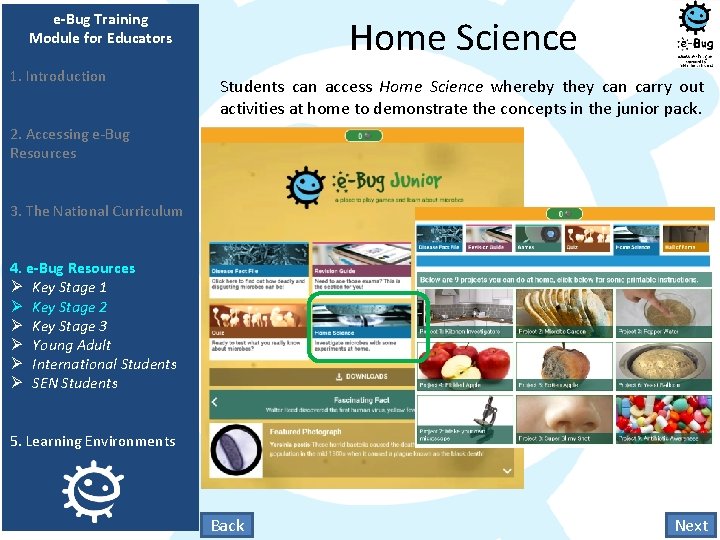 e-Bug Training Module for Educators 1. Introduction Home Science Students can access Home Science