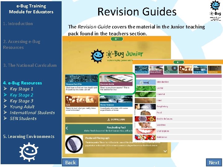 e-Bug Training Module for Educators 1. Introduction Revision Guides The Revision Guide covers the