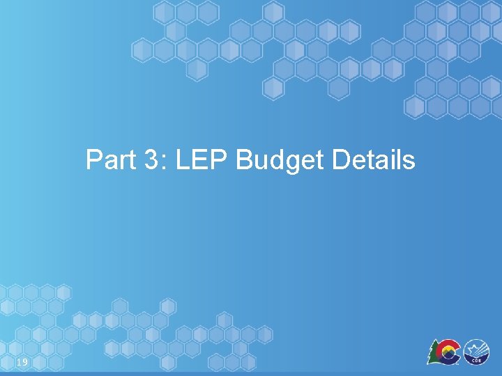 Part 3: LEP Budget Details 19 