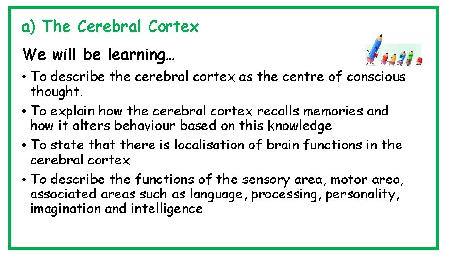 a) The Cerebral Cortex We will be learning… • To describe the cerebral cortex