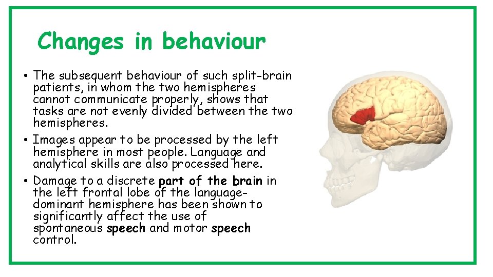 Changes in behaviour • The subsequent behaviour of such split-brain patients, in whom the