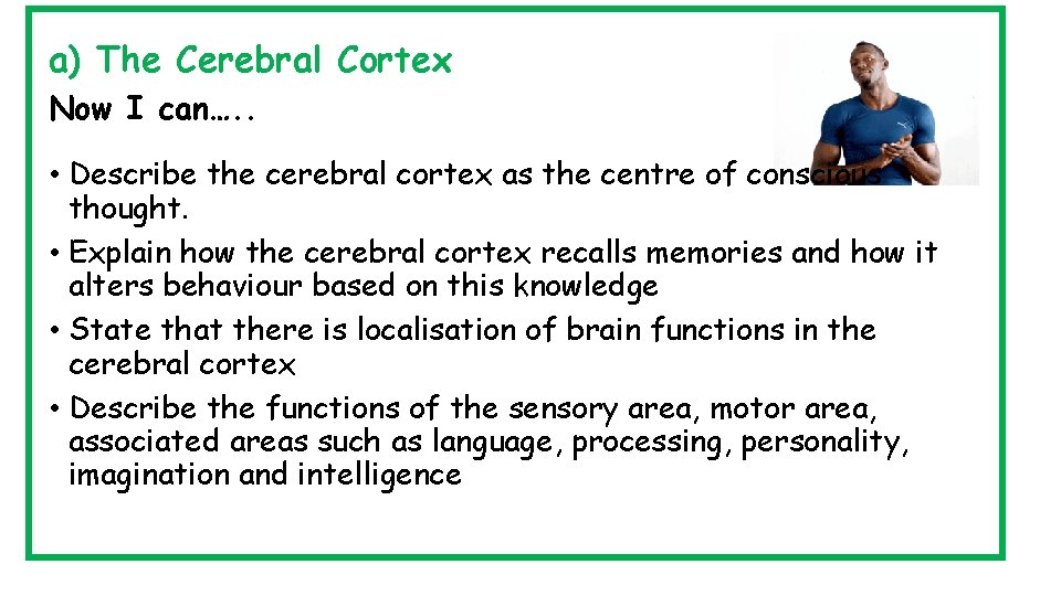 a) The Cerebral Cortex Now I can…. . • Describe the cerebral cortex as