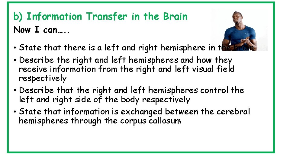 b) Information Transfer in the Brain Now I can…. . • State that there