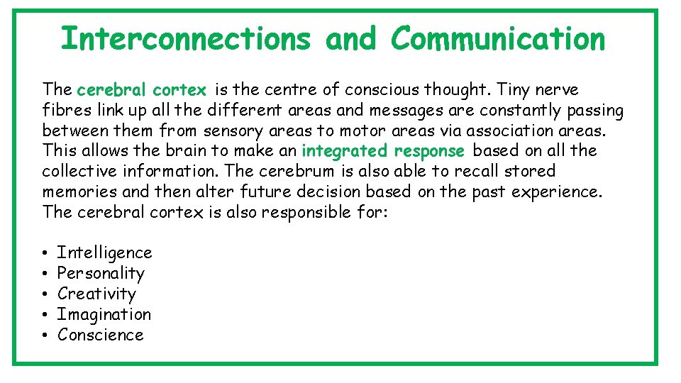 Interconnections and Communication The cerebral cortex is the centre of conscious thought. Tiny nerve