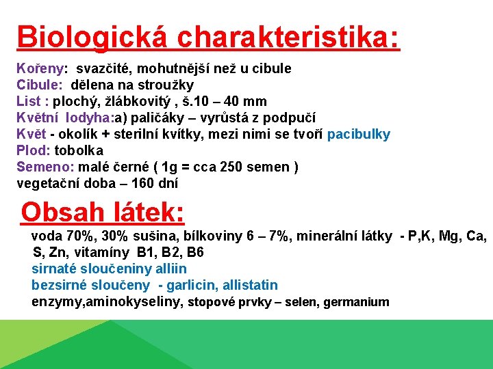 Biologická charakteristika: Kořeny: svazčité, mohutnější než u cibule Cibule: dělena na stroužky List :