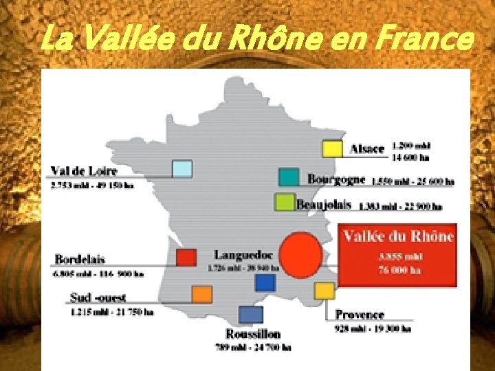 La Vallée du Rhône en France 