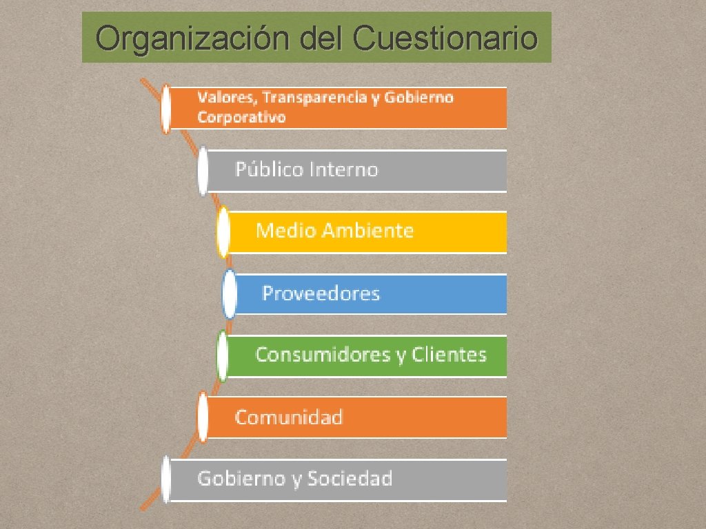 Organización del Cuestionario 