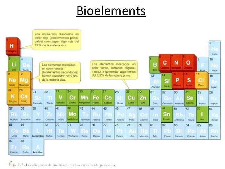 Bioelements 