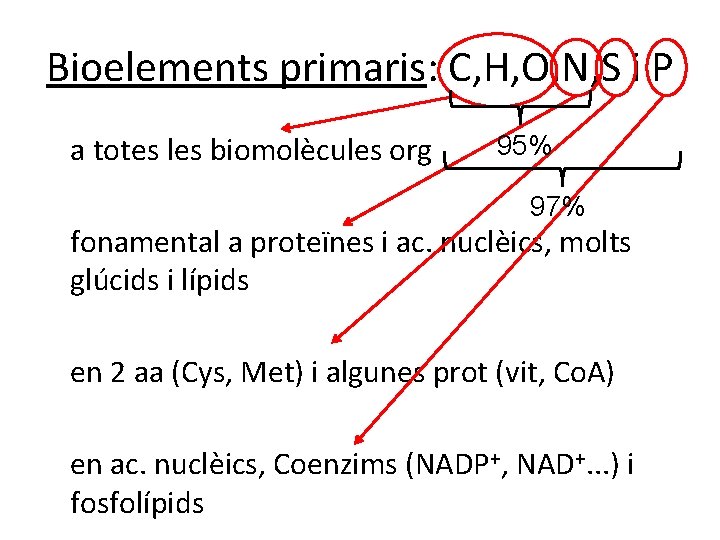 Bioelements primaris: C, H, O, N, S i P a totes les biomolècules org