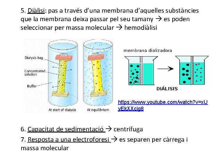 5. Diàlisi: pas a través d’una membrana d’aquelles substàncies que la membrana deixa passar