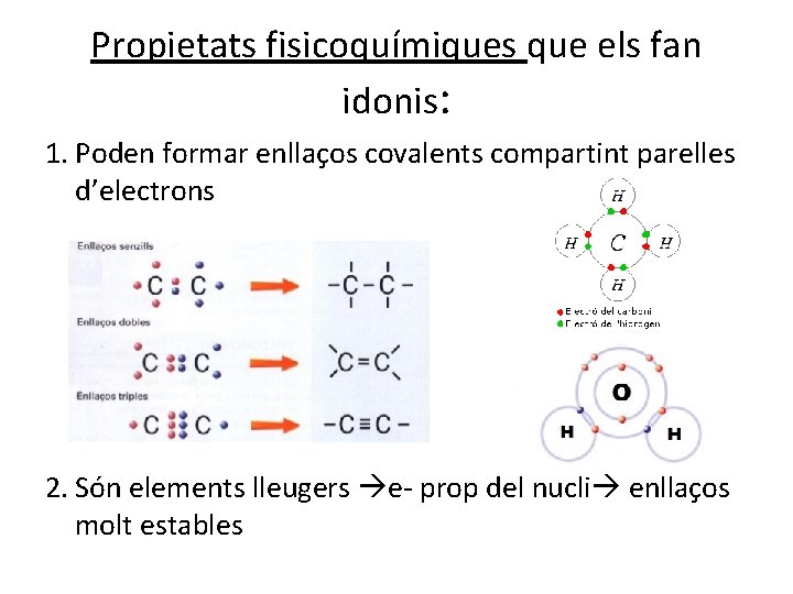 Propietats fisicoquímiques que els fan idonis: 1. Poden formar enllaços covalents compartint parelles d’electrons