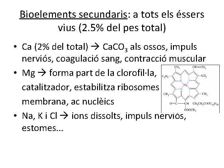 Bioelements secundaris: a tots els éssers vius (2. 5% del pes total) • Ca