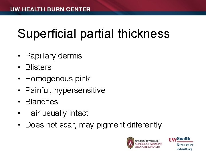 Superficial partial thickness • • Papillary dermis Blisters Homogenous pink Painful, hypersensitive Blanches Hair