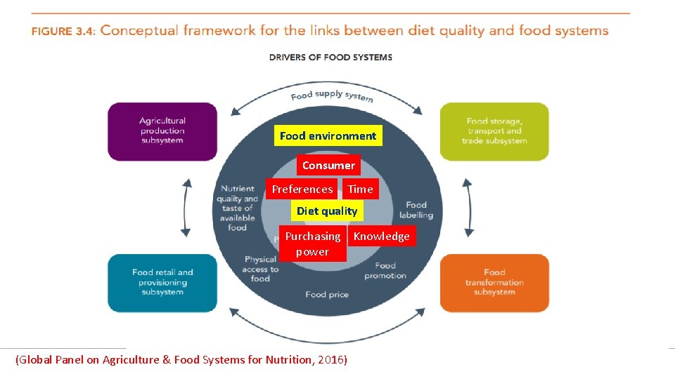Food environment Consumer Preferences Time Diet quality Purchasing Knowledge power (Global Panel on Agriculture