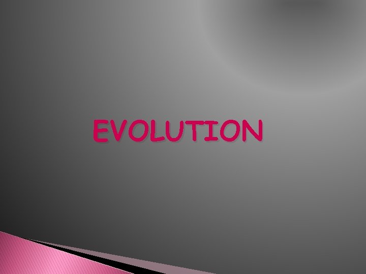 EVOLUTION EVOLUTION