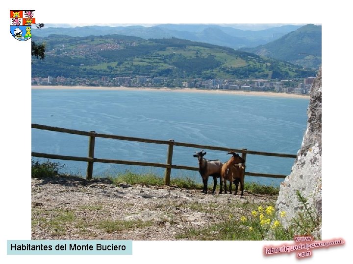 Habitantes del Monte Buciero 