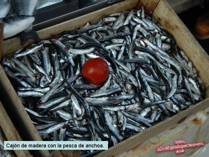 Cajón de madera con la pesca de anchoa. 